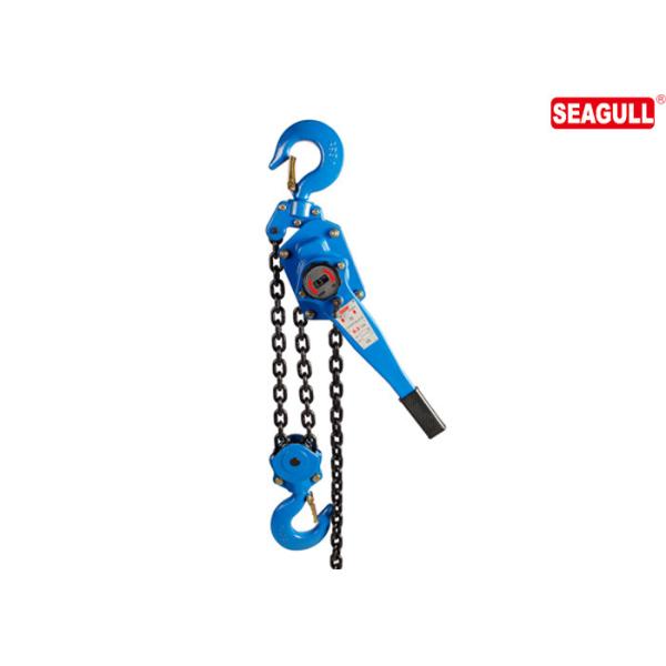 Safety 6 Ton Steel Chain Lever Hoist Hand Lifting Tools For Building- CE/GS
