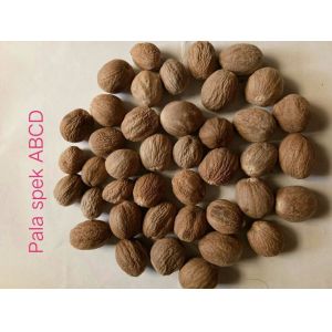 Nutmeg Myristica Fragrans With Or Without Shell From Indonesia