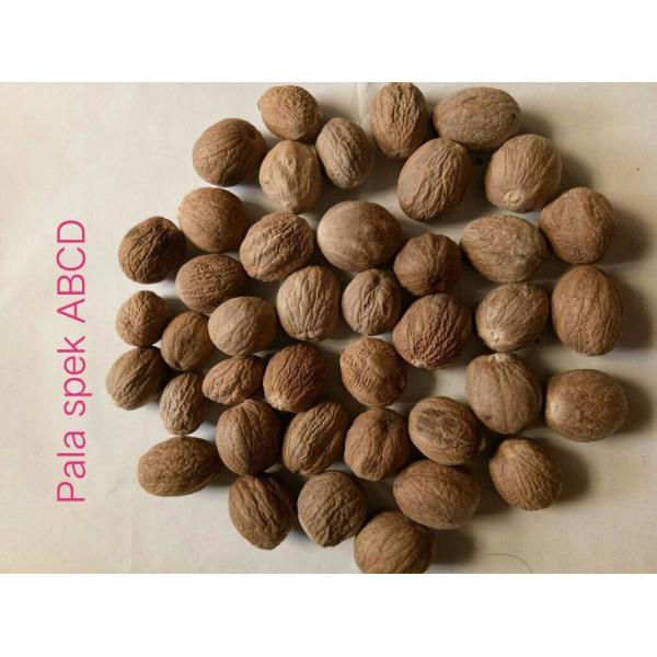 Buy Nutmeg Myristica Fragrans With Or Without Shell From Indonesia at wholesale prices