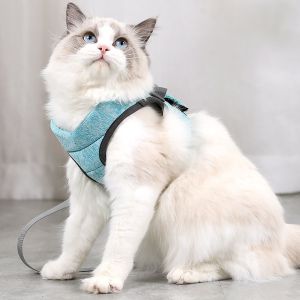 Out Traction Cat Walking Rope elastic Pet Chest Strap Magic Tool With Adjustable