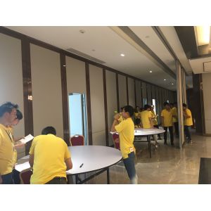 Modern Aluminum Alloy Decorative Wall Partition