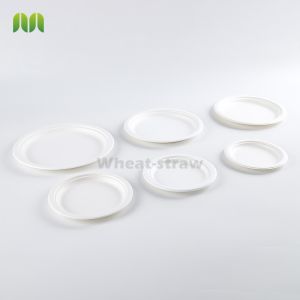 Disposable Biodegradable Sugarcane Bagasse Packing Rectangular Trays Plate Dish