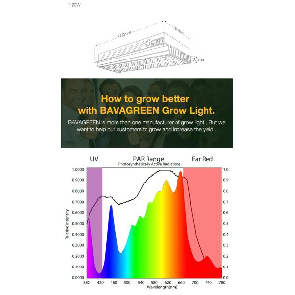 3000K 5000K LM301B Quantum Board 120W Samsung Indoor Garden Led Grow Lights