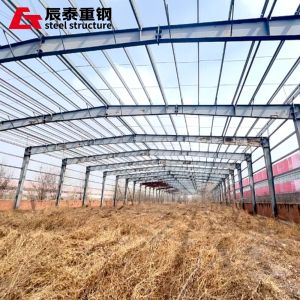 Industrial Production Structural Stability Fast Construction Speed For Steel