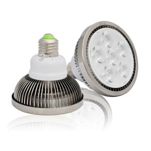 LED PAR30 6W PAR Lamp