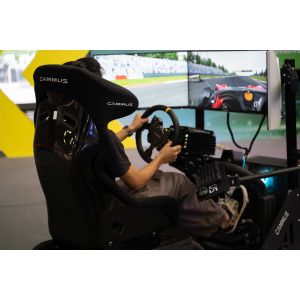 Support OEM 3 Pedals PC Game Driving Simulator