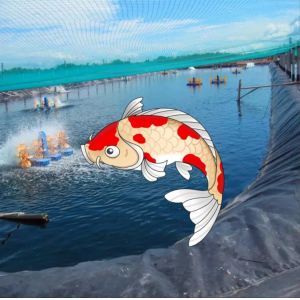 Waterproof HDPE LDPE LLDPE Liners for Fish Pond Swimming Pool Reservoir Dam