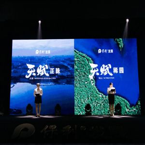 COB LED screen P0.9 P1.2 P1.5 Interior Micro Thin LED Video Wall Display Wall