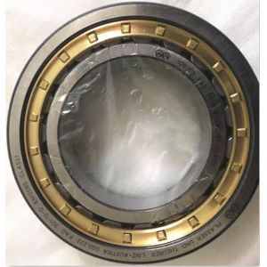 China U20.223 High Precision Brass Cage Bearing Cylindrical Roller Bearing on sale
