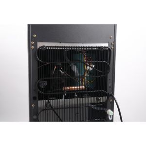 Compressor Cooling Water Dispenser for Hot Cold and Warm Water in 37*37*111cm