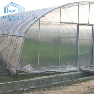 Hydroponic System Tunnel Plastic Greenhouse with Ventilation Insect Net