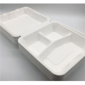 8 Inch 38g Clamshell Biodegradable To Go Containers