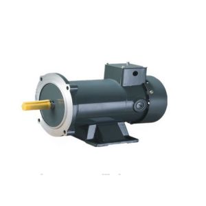 New design Permanent Magnet 220v brush dc motor