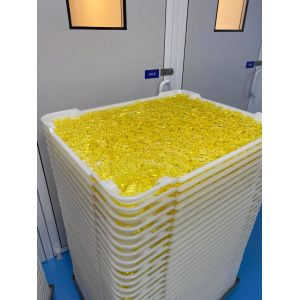 PP/ABS Material Flat Bottom Plastic Drying Tray 758x608x40mm for Capsule Drying