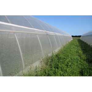 Insect Netting for Vegetable Gardens