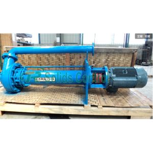 Quality 1480r/Min Speed Solid Control Oilfield Submersible Slurry Pump for sale