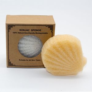 Allergenic Suitable Shell Shaped Sponge Eco Friendly Face Konjac Sponge