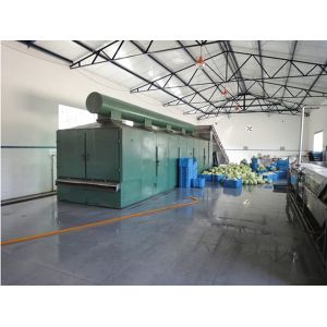 DWT Series Drier for Vegetable Dehydration