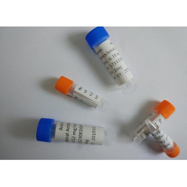 Buy Purified Anti-Phencyclidine Mouse Monoclonal Antibody 1995mg / month at wholesale prices