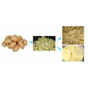 WLQ industrial potato radish vegetable cutting slicing processing machine chilii