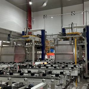 Automatic Wet Pet Food Production Line for Dog and Cat Application with 80-400