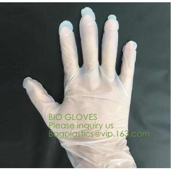 Biodegradable and compostable PLA gloves,OEM cheap biodegradable kitchen