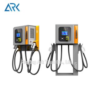 Home 400V CE DC Electric Charging Stations With Remote And Local Upgrade