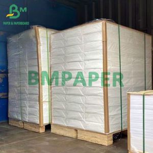 Quality Polypropylene Synthetic Paper For 2 Sides Laser Printing 13&quot;X19&quot; Thickness 14pt 12pt 10pt 8pt for sale