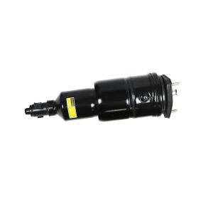 Front Left Right Air Suspension Shock Strut 48020-50200 48020-50210 For 08-16