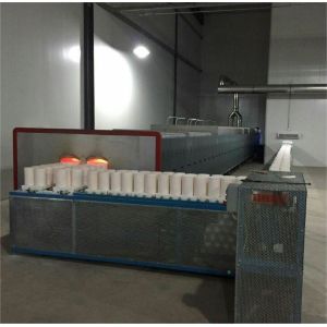 China Alumina Calcination Pusher Kiln Customized Automatic Continuous Sintering Gas on sale