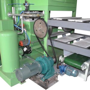 Egg Tray Manufacturing Unit 1300pcs/h Capacity