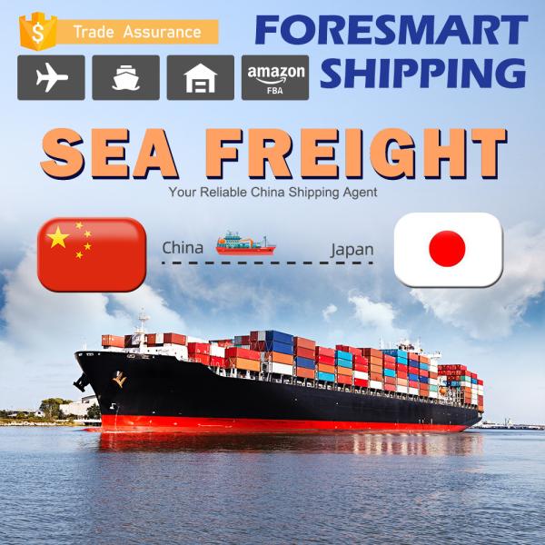 Buy Container Shipping China To Japan International Sea Freight Services at wholesale prices