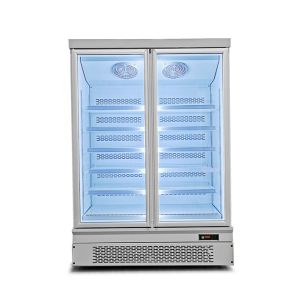 Silvery Bottom Mount Commercial Upright Freezer Chest Refrigeration 953L