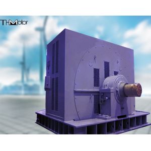 Quality IP20 IP21 Driving Coal Mill Large Synchronous Motor 1300KW for sale