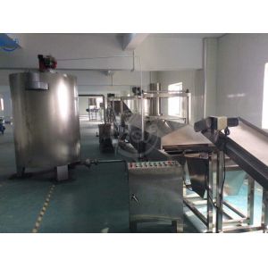 Industrial Automatic Fryer Machine Potato Chips French Fries Machine