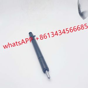 28599713 4D20M EJBR05102D Delphi Injectors For JMC 2.8L R03301D