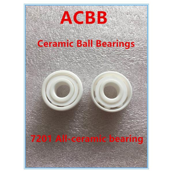 7201 All-ceramic bearing