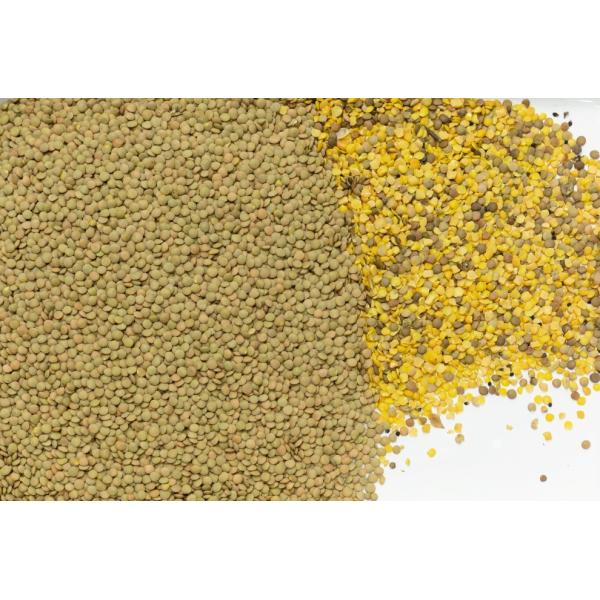 Coffee Bean Soybean Color Sorter With Intelligennt Ccd And Rgb Technology