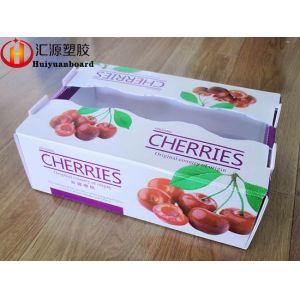 Good Hardness 4mm Corrugated Plastic Shipping Boxes