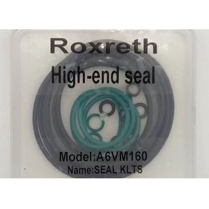 China A6VM160 Lift Bobcat Cylinder Seal Kit PV90M130/PV90M42/PV90M180/PV90M250 on sale