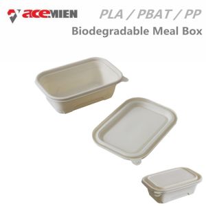SGS Degradable Disposable Plastic Lunch Box Machine