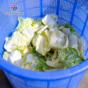 Onions Greens Lettuce Cao Xin Baby Cabbage Chinese Cabbage Cabbage Spin Dryer