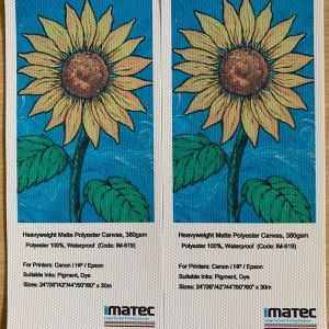 Blank Inkjet Printed Polyester Canvas Roll 24" 36" With Eco Solvent Inks