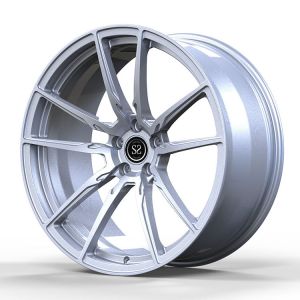20x9.5 ET35/20x10.5 ET35/5x114.3/64.1 Gloss Silver Custom Forged Rims For Tesla