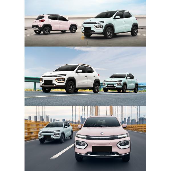 Discover the Perfect Combination of Style and Performance with Dolphin Electric Vehicles' 500cc Mini Car Araba Electrique Adulte