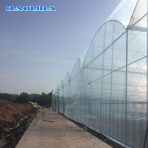 Plants Growing Automatic Plastic Film Humidity Control Side Ventilation Multi