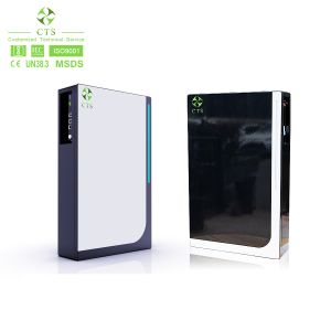 CTS Lifepo4 Lithium Battery Pack For Home Solar System 48V 100ah 200ah Powerwall