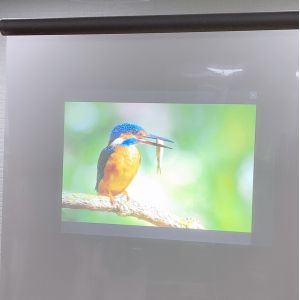 Window Advertising transparent holographic film clear rear projection film with