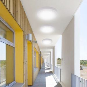 Modern LED Bulkhead Ceiling Lights For Bathroom / Outdoor 80lm / W RA80