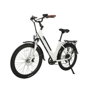 36v 250W/350W Step Through Ebike 6061 Aluminum Alloy Frame